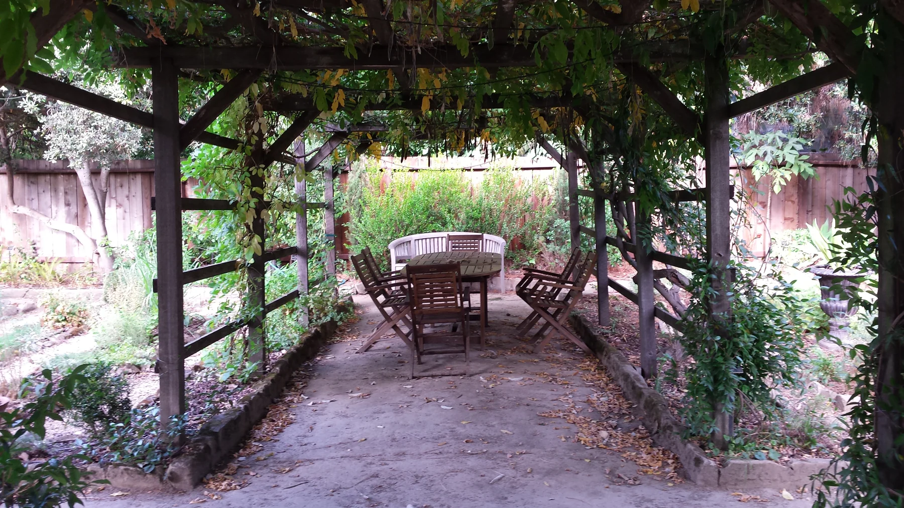 Leafy vine-covered timber pergola with dining table